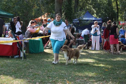 IMG_8346