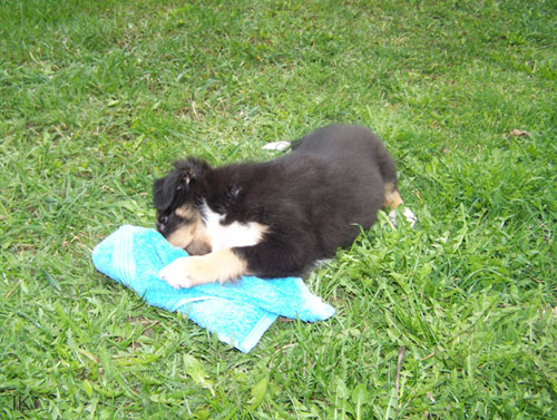 Bild 014