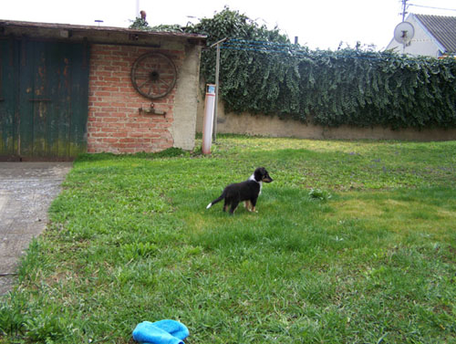 Bild 018