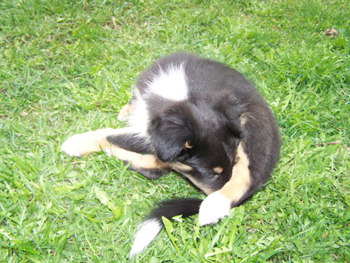 Bild 020