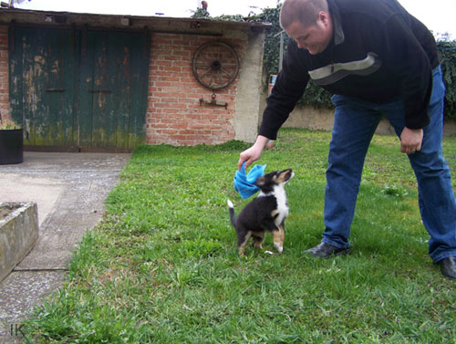 Bild 021