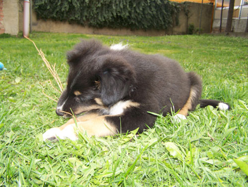 Bild 026