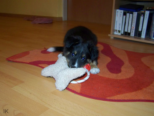 Bild 028
