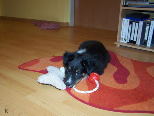 Bild 029