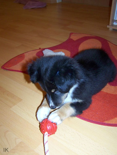 Bild 036