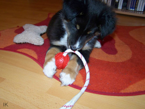 Bild 037