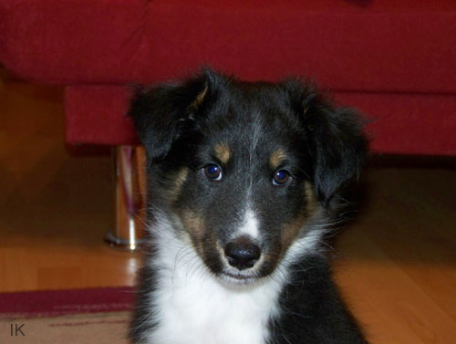 Bild 042
