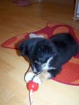 Bild 036
