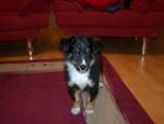 Bild 041