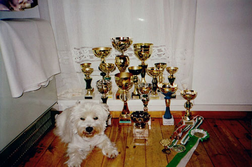 Benny_01