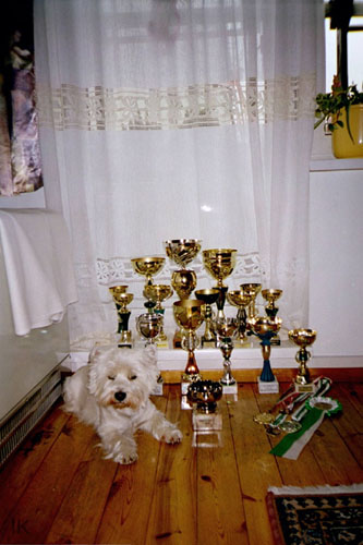 Benny_03