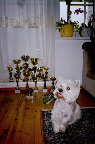 Benny_06