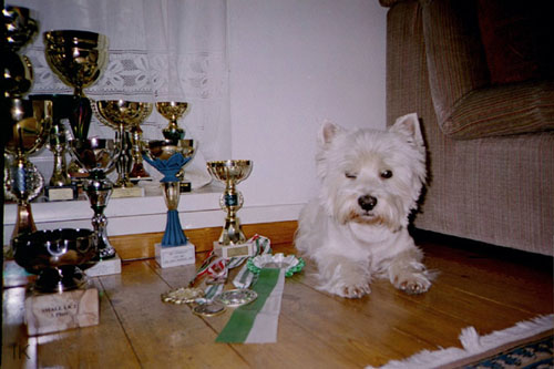 Benny_08