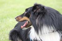 221772_221921404491711_100000215584081_977531_3244934_n