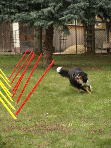 P3313478