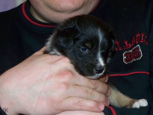 Bild 011