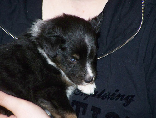 Bild 022