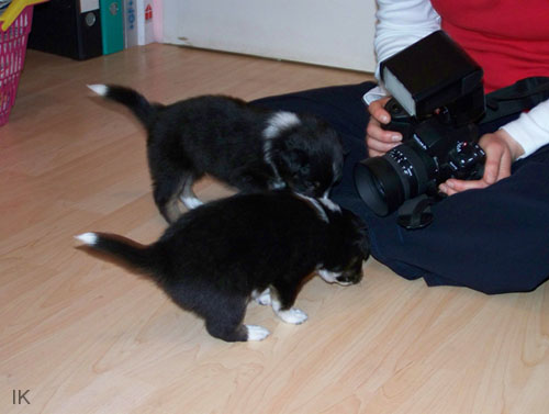 Bild 033