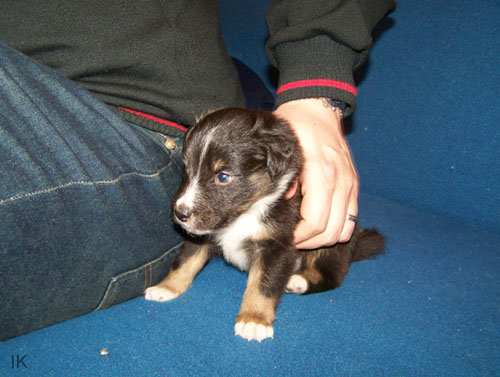 Bild 043