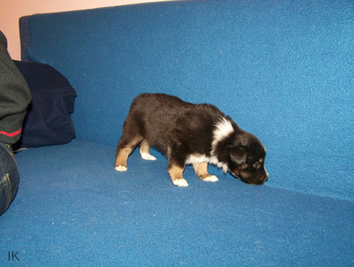 Bild 045