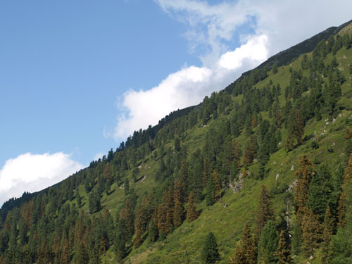 P8185135