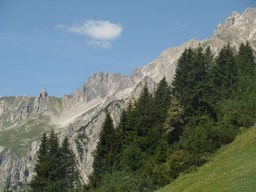 P8195164