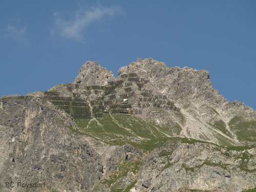 P8195169