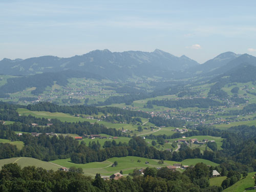 P8195202