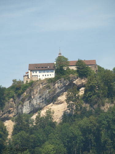 P8195233