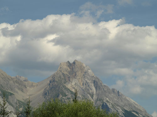 P8195379