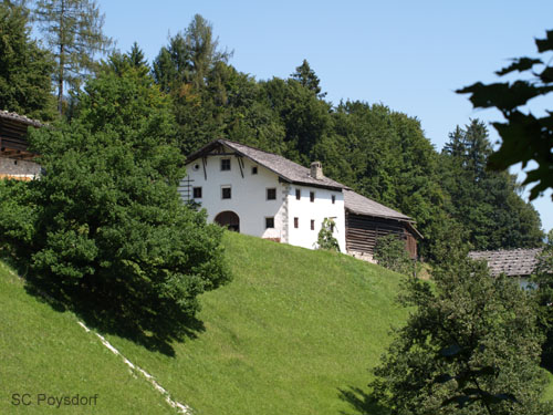 P8205477