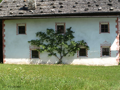 P8205488
